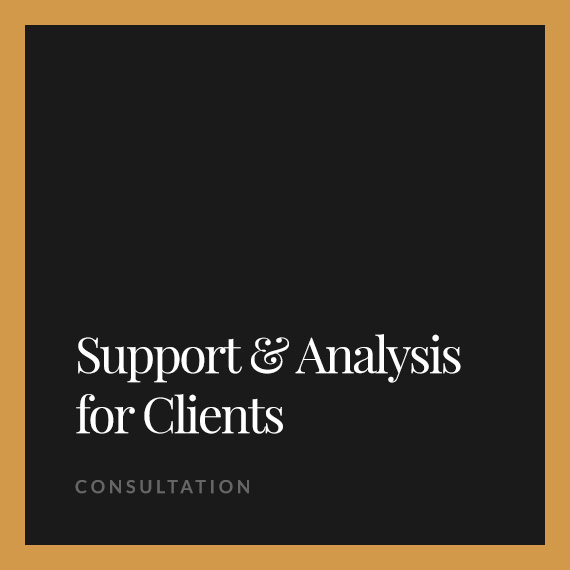 Information support and analysis for clients